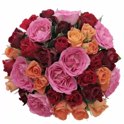 Kytice 35 míchaných růží KATRIEL 40cm