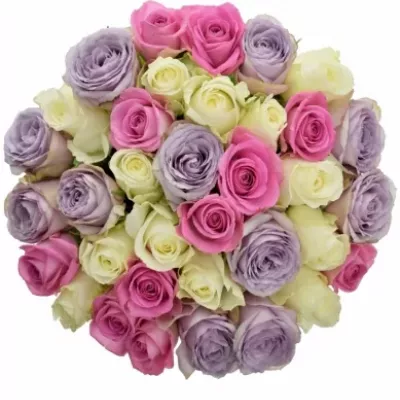 Míchaná kytice 35 vícebarevných růží LIGHT LORRIESS 50 cm