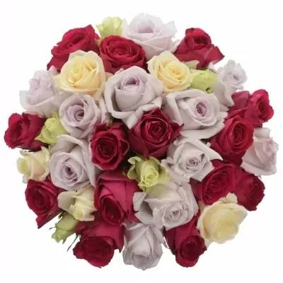 Kytice 35 míchaných růží LORRIESS 50cm