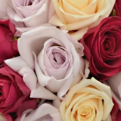 Kytice 35 míchaných růží LORRIESS
