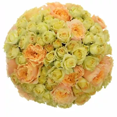 Kytice 35 míchaných růží LOVELY BENAYA 40cm