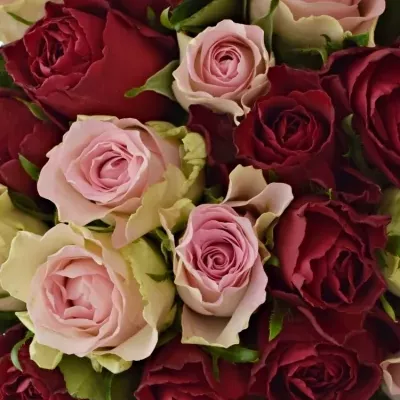 Kytice 35 míchaných růží MADAM BISOU 50cm