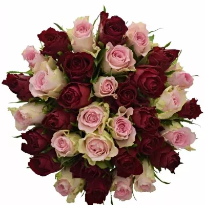 Kytice 35 míchaných růží MADAM BISOU 40cm