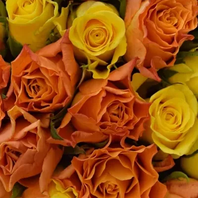 Kytice 35 míchaných růží MARYWALK 50cm
