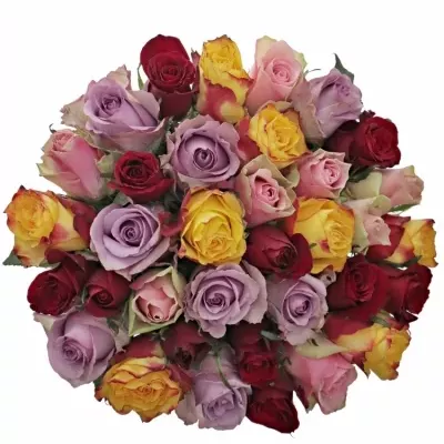 Kytice 35 míchaných růží MIRIAM 35cm