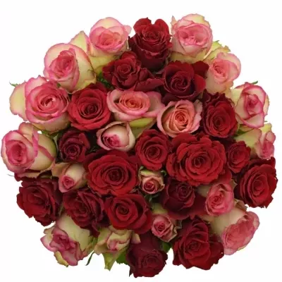 Kytice 35 míchaných růží ODETTE 60cm
