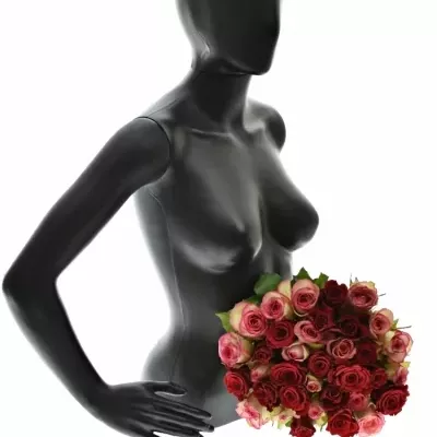 Kytice 35 míchaných růží ODETTE 60cm