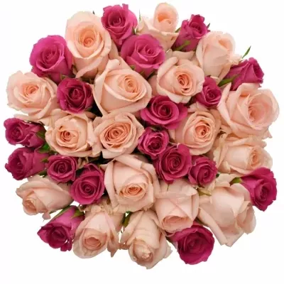 Míchaná kytice 35 vícebarevných růží PINACHE 60 cm