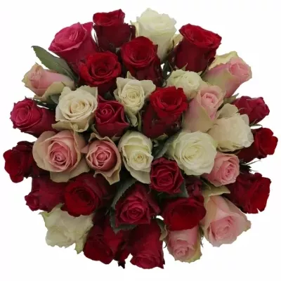 Míchaná kytice 35 vícebarevných růží RADWAN 50 cm