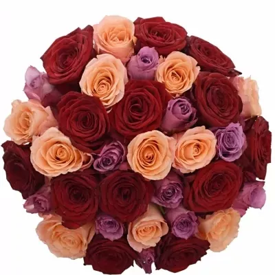 Míchaná kytice 35 vícebarevných růží RED LADY ORLEA 60 cm