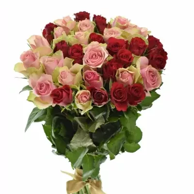 Kytice 35 míchaných růží ROSEBELLINE 60cm