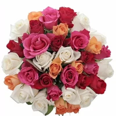Kytice 35 míchaných růží SEVASTIANOS 40cm
