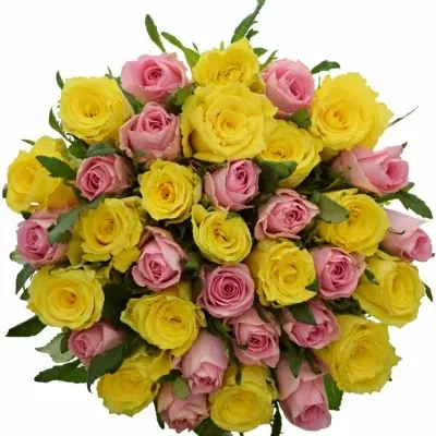 Kytice 35 míchaných růží SHANLEY 40cm