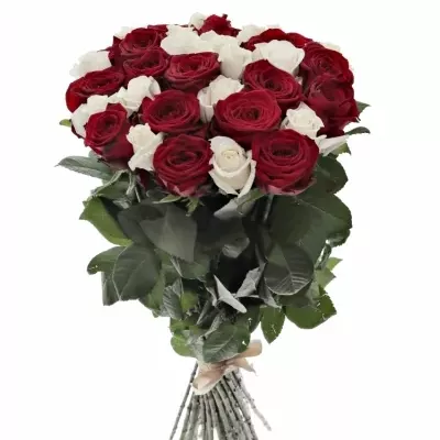 Kytice 35 míchaných růží TAMARA 90cm