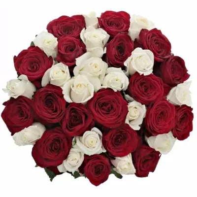 Kytice 35 míchaných růží TAMARA 40cm