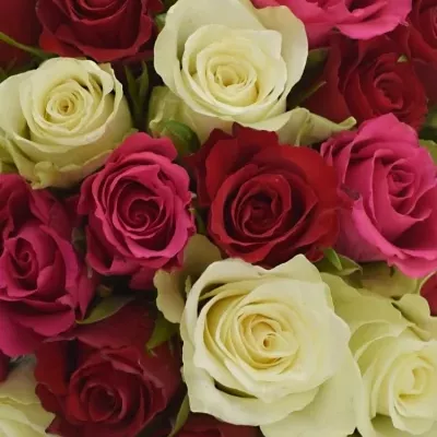 Kytice 35 míchaných růží WHITE GRACIANA 35cm