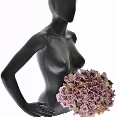 Kytice 35 modrofialových růží MEMORY LANE 40cm