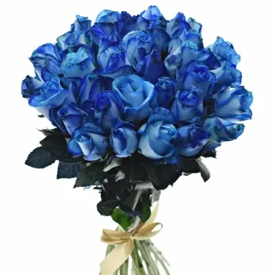 Kytica 35 modrých ruží BLUE snowstorm + 40cm