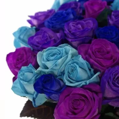 Kytice 35 modrých růží IRENE
