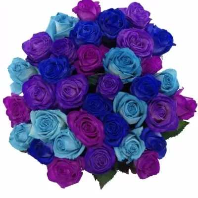 Míchaná kytice 35 barvených růží IRENE 60 cm