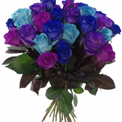 Kytice 35 modrých růží IRENE