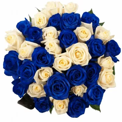 Jednodruhová kytice 35 modrých růží MARIANNA 60 cm