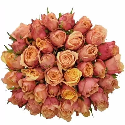 Kytice 35 oranžovočervených růží ALTAMODA 50cm