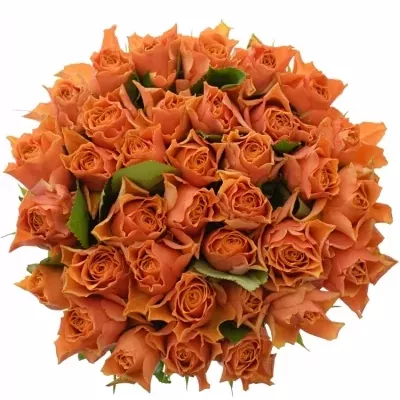 Kytice 35 oranžových růží ARANCIO 40cm