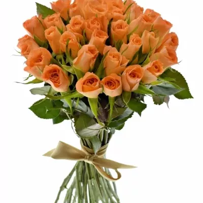 Kytice 35 oranžových růží CHELSEA 40cm