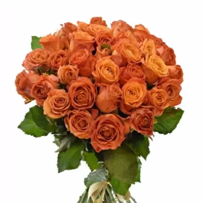 Kytice 35 oranžových růží CLARENCE+ 60cm