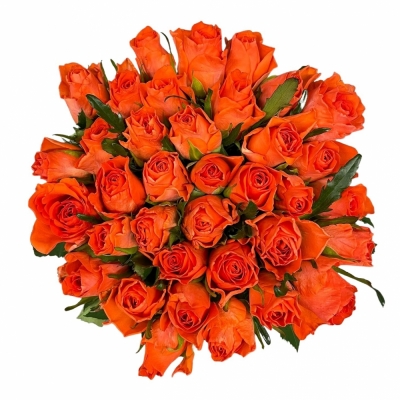Kytice 35 oranžových růží COMANCHE 50 cm