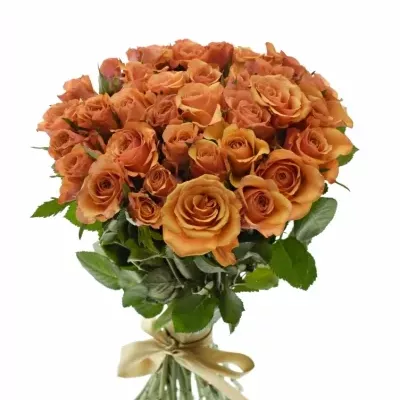 Kytice 35 oranžových růží JULIA 40cm
