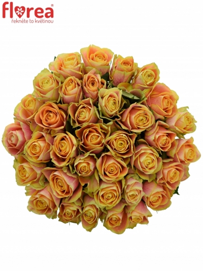 Kytice 35 oranžových růží MARACUJA 50cm