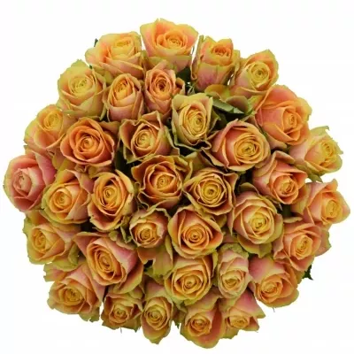 Kytice 35 oranžových růží MARACUJA 50cm