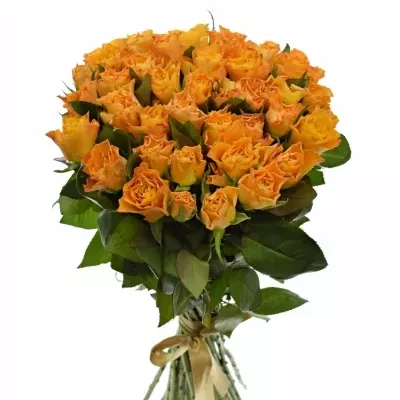 Kytice 35 oranžových růží MARIE-CLAIRE! 60cm