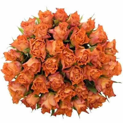 Kytice 35 oranžových růží MARIYO! 50cm