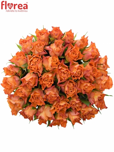 Kytice 35 oranžových růží MARIYO! 40cm