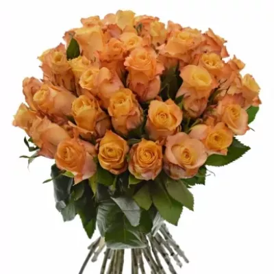 Kytice 35 oranžových růží MONALISA 50cm