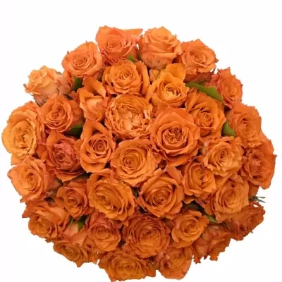 Kytice 35 oranžových růží Mpesa 40cm