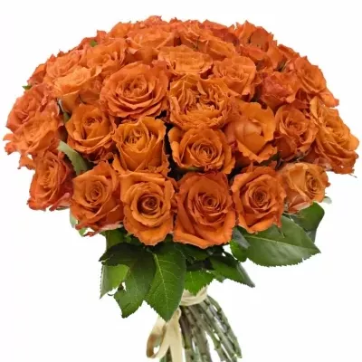 Kytice 35 oranžových růží Mpesa 60cm