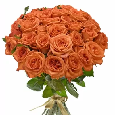 Kytice 35 oranžových růží NARANGA