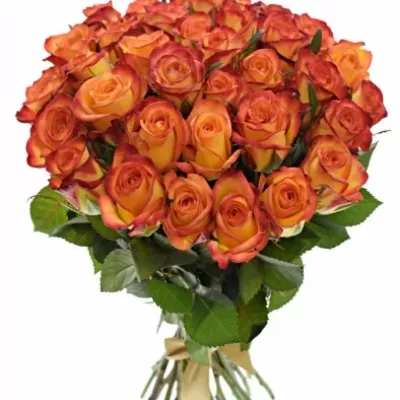 Kytice 35 oranžových růží OUTLAW! 40cm