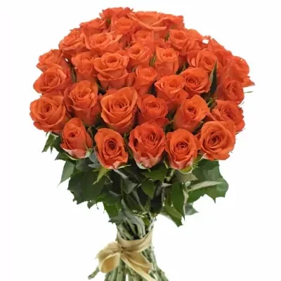 Kytice 35 oranžových růží PATZ 60cm