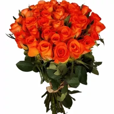 Kytice 35 oranžových růží TROPICAL AMAZONE