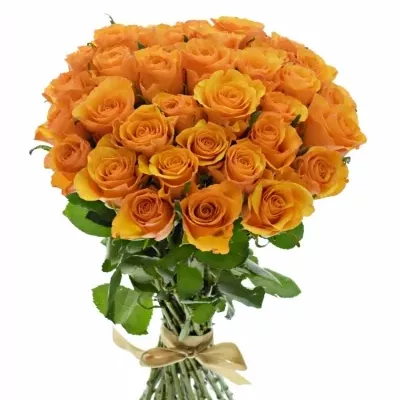 Kytice 35 oranžových růží TYCOON