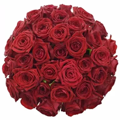 Kytice 35 rudých růží RED NAOMI!