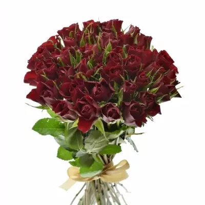 Kytice 35 rudých růží RED TIFFANY