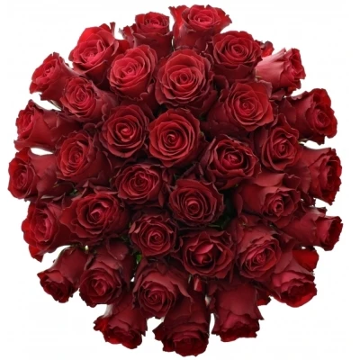 Kytice 35 rudých růží RHODOS
