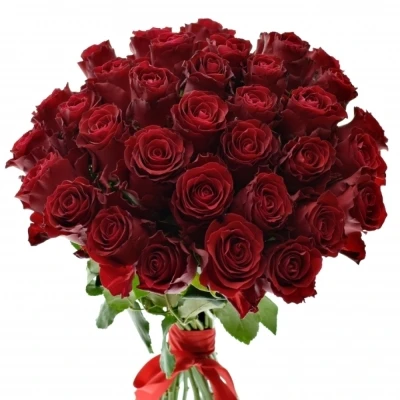 Kytice 35 rudých růží RHODOS