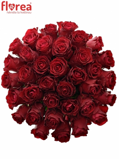 Kytice 35 rudých růží RHODOS